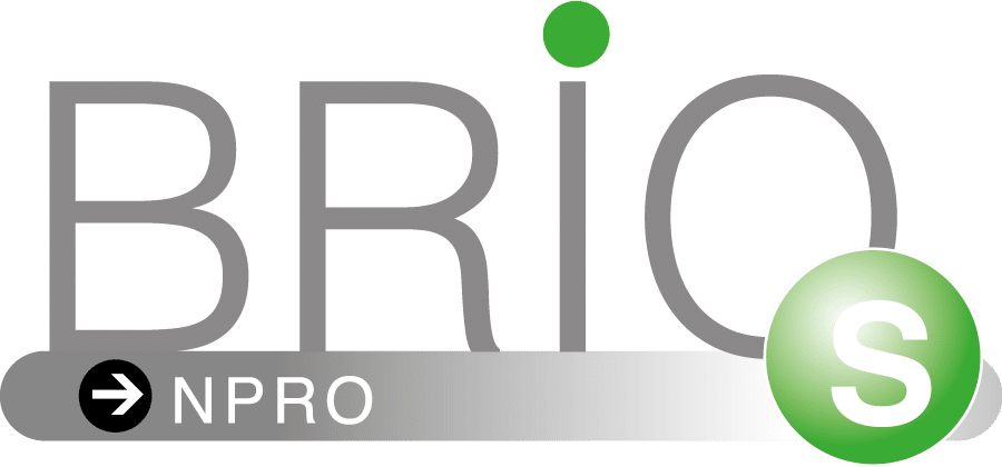 BRIO S