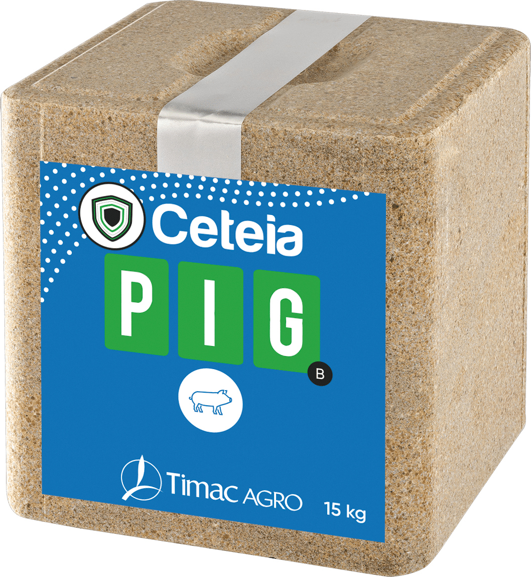 CETEIA PIG B